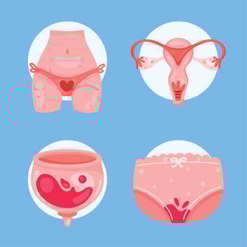 four menstruation cycle icons vector