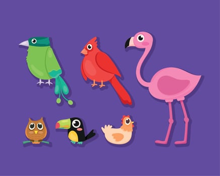 cute birds six icons vector