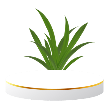 White and Gold 3D Podium with Tropical Leaf Perfect for Product Display, Layout, and Showcase png