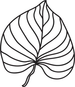 simplicity leaf freehand continuous line drawing flat design. png
