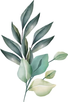 Leaves, flowers in watercolor for decoration. Lime green and gray color. vector
