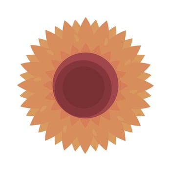 sunflower nature icon vector