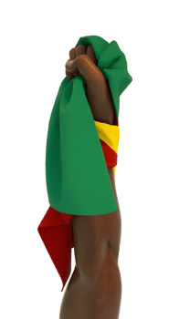 Fisted hand holding Benin flag. Hand lifted and grabbing flag isolated on transparent background. 3d rendering of Flag wrapped around fist png