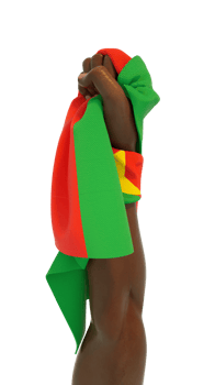 Hand fist holding Burkinabe flag. Hand lifted and grabbing flag isolated on transparent background. 3d rendering of Flag wrapped around fist png