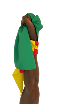 Hand fist holding Cameroonian flag. Hand lifted and grabbing flag isolated on transparent background. 3d rending of Flag wrapped around fist png