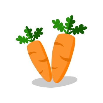 carrot illustration isolated on white background. vector