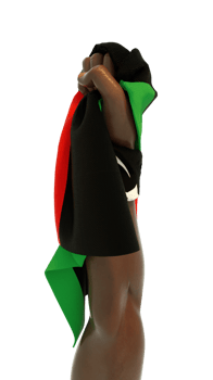 Hand fist holding Libyan flag. Hand lifted and grabbing flag isolated on transparent background. 3d rending of Flag wrapped around fist png