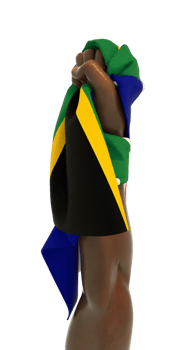 Hand fist holding South African flag. Hand lifted and grabbing flag isolated on transparent background. 3d rending of Flag wrapped around fist png