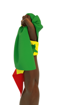 Fisted hand holding Senegalese flag. Hand lifted and grabbing flag tightly isolated on transparent background. 3d rendering of Flag wrapped around fist png