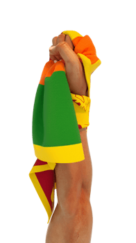 Hand fist holding Sri Lankan flag. Hand lifted and grabbing flag isolated on transparent background. 3d rendering of Flag wrapped around fist png