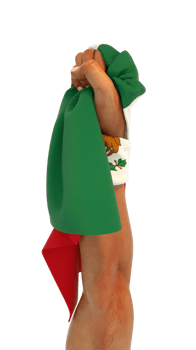 Hand fist holding Mexican flag. Hand lifted and grabbing flag isolated on transparent background.3d rendering of Flag wrapped around fist png
