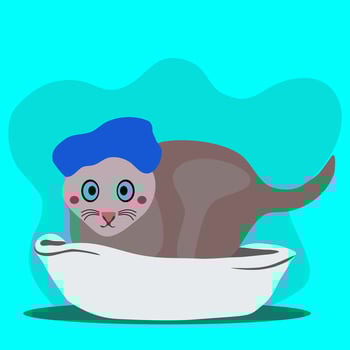 vector, ilustration, cat in bath vector