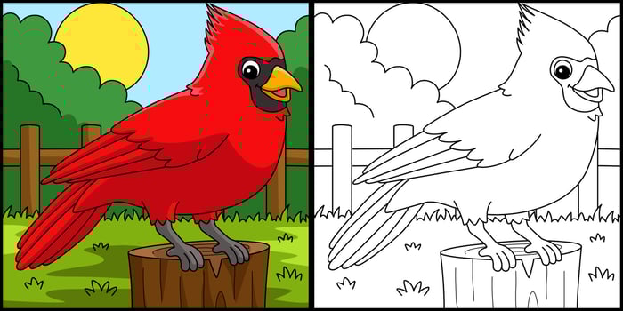 Cardinal Animal Coloring Page Colored Illustration vector