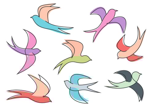 Graceful colorful flying swallow  birds vector