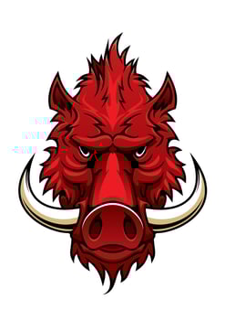 Red boar head mascot vector