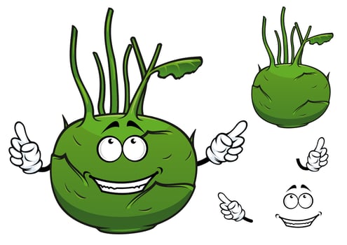 Fresh vegetable kohlrabi cabbage cartoon character vector