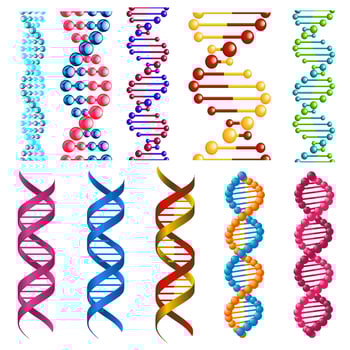 Colorful DNA molecules and cells vector