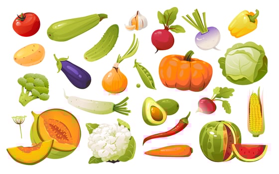 Vegetables set. Natural organic nutrition. Healthy food. Vector illustration isolated on a white background
