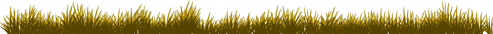 grass banner. long grass png