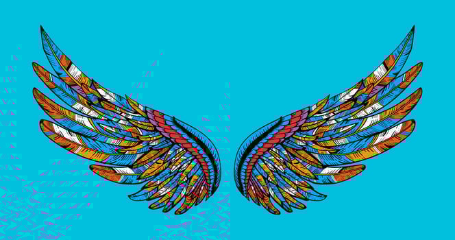 bird wing abstract vector