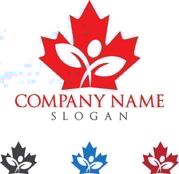 Canada maple leaf logo design. vector