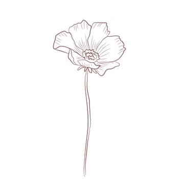 Hand drawn flower sketch line art vector illustration