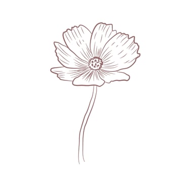 Hand drawn flower sketch line art vector illustration