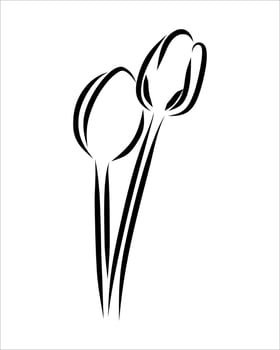 Line drawing of flower vector