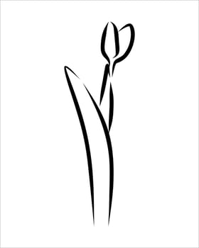 Line drawing of flower vector