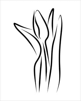 Line drawing of flower vector