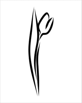 Line drawing of flower vector