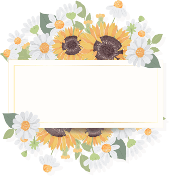 hand draw cute sunflower bouquet wreath with golden frame png