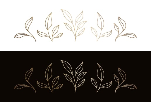 leaves botanical branches logo design with stem and foliage line art vector illustration