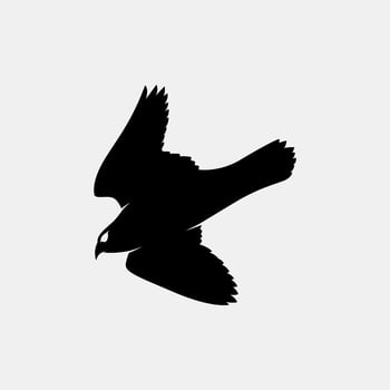 falcon vector silhouette