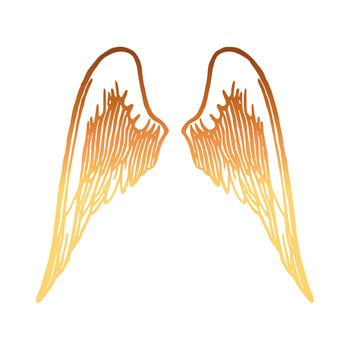 Hand drawn illustration vector sketch angel wing with gradient golden colored isolated white background
