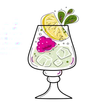 Hard seltzer cocktail with orange, berries and mint in glasses. vector doodle sketch set illustration