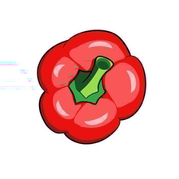 Red bell pepper view from above vector