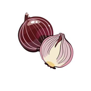 Onion vegetable whole and half vector