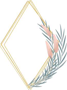 Dried flower frame png