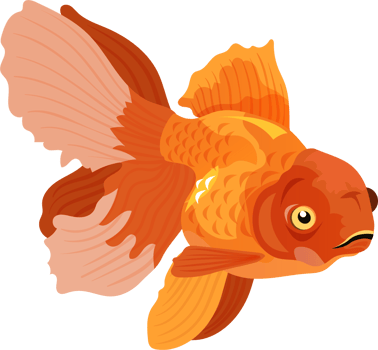 GoldFish Cartoon Character png