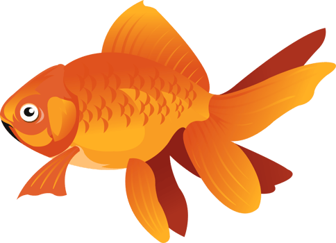 GoldFish Cartoon Character png
