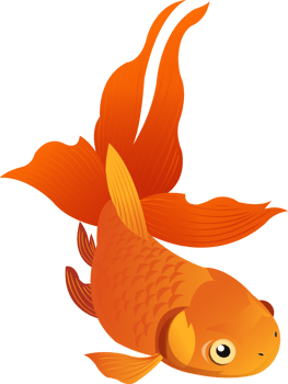GoldFish Cartoon Character png