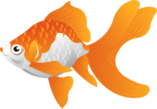 GoldFish Cartoon Character png