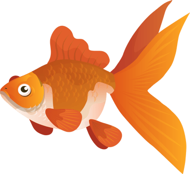 GoldFish Cartoon Character png