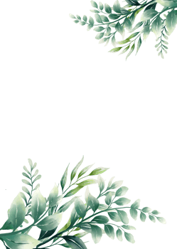 Green watercolor leaves png