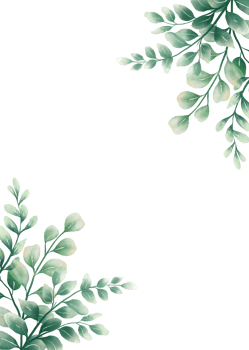 Green watercolor leaves png