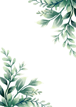 Green watercolor leaves png