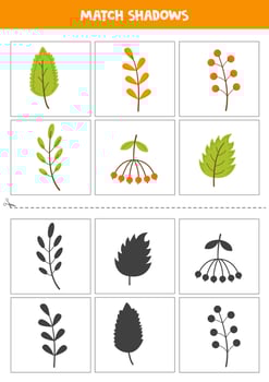 Find shadows of autumn leaves. Cards for kids. vector