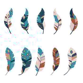 set of ornate feathers vector