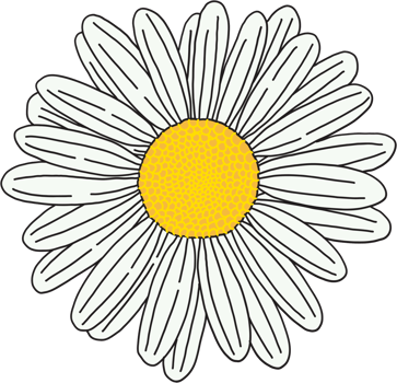 doodle freehand sketch drawing of flower. png